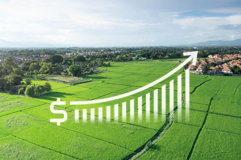 Property Value Analysis